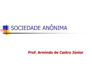 SOCIEDADE ANÔNIMA