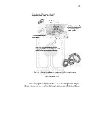 42 (4) Gam bar ular dikirim ke otak sadar untuk mempertimbangkan respon yang diarnbil