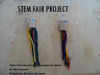 STEM Fair Project