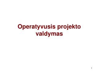 Operatyvusis projekto valdymas