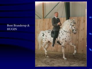 Bent Branderup &amp; HUGIN