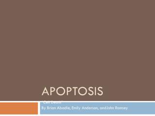 APOPTOSIS