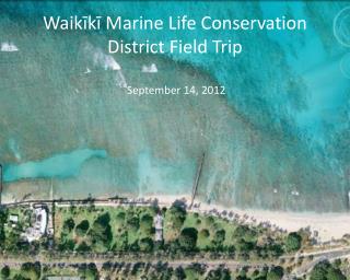 Waikīkī Marine Life Conservation District Field Trip