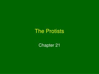 The Protists