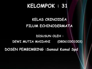 KELOMPOK : 31