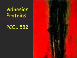 Adhesion Proteins PCOL 582