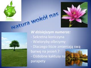 Natura wokół nas