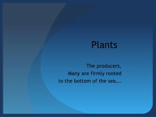Plants