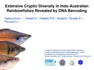 Extensive Cryptic Diversity in Indo-Australian Rainbowfishes Revealed by DNA Barcoding