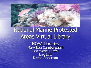 National Marine Protected Areas Virtual Library
