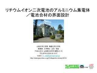 リチウムイオン二次電池のアルミニウム集電体／電池合材の界面設計