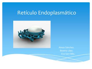 Retículo Endoplasmático