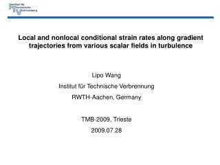 Lipo Wang Institut für Technische Verbrennung RWTH-Aachen, Germany TMB-2009, Trieste 2009.07.28