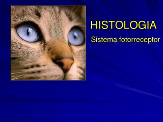 HISTOLOGIA