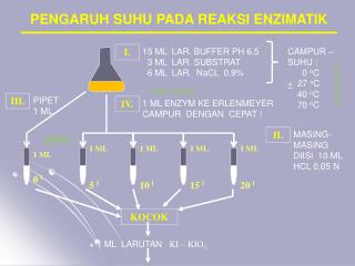 PENGARUH SUHU PADA REAKSI ENZIMATIK