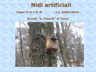 Nidi artificiali