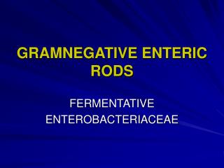 GRAMNEGATIVE ENTERIC RODS