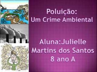 Poluição: Um Crime Ambiental