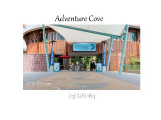 Adventure Cove