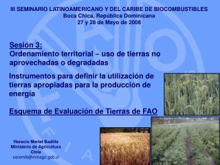 III SEMINARIO LATINOAMERICANO Y DEL CARIBE DE BIOCOMBUSTIBLES Boca Chica, República Dominicana