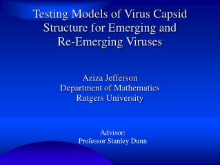 Testing Models of Virus Capsid Structure for Emerging and Re-Emerging Viruses