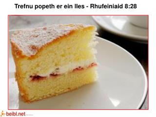 Trefnu popeth er ein lles - Rhufeiniaid 8:28