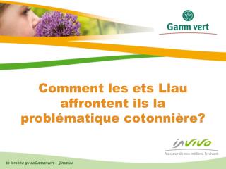 Comment les ets Llau affrontent ils la problématique cotonnière?