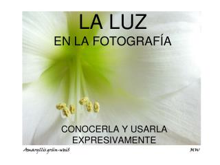LA LUZ EN LA FOTOGRAFÍA
