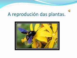 A reprodución das plantas.