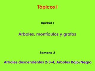 Tópicos I