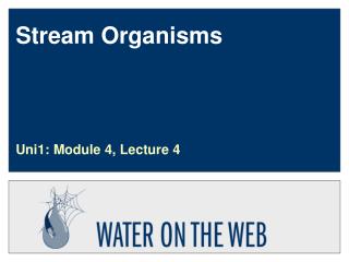 Stream Organisms