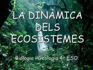 LA DINÀMICA DELS ECOSISTEMES