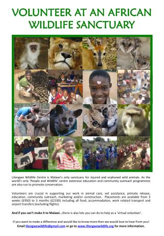VOLUNTEER AT AN AFRICAN WILDLIFE SANCTUARY