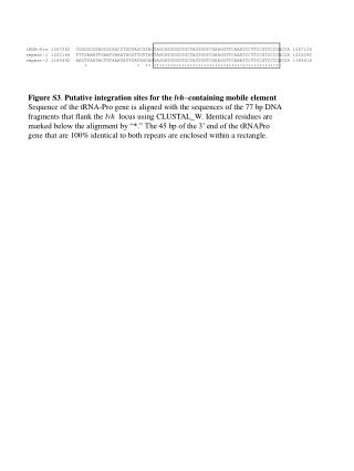 Figure S3 . Putative integration sites for the lvh –containing mobile element