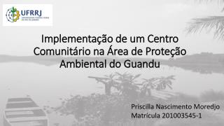 Implementação de um Centro Comunitário na Área de Proteção Ambiental do Guandu