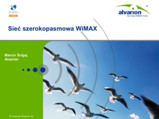 Sieć szerokopasmowa WiMAX