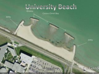University Beach