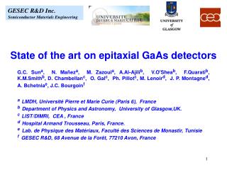 State of the art on epitaxial GaAs detectors