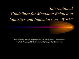 International Guidelines for Metadata Related to Statistics and Indicators on “Work”