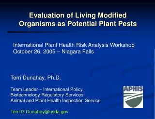 Evaluation of Living Modified Organisms as Potential Plant Pests