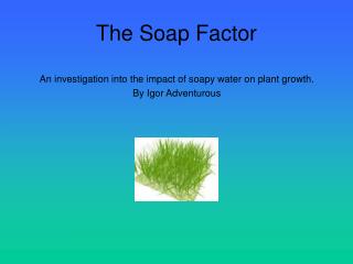 The Soap Factor