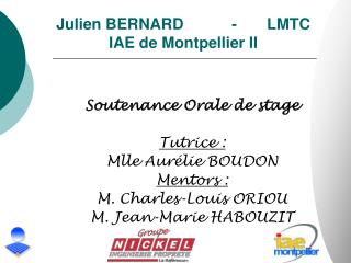 Julien BERNARD 		- 	LMTC IAE de Montpellier II