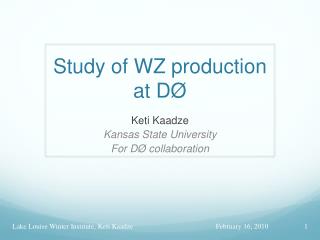 Study of WZ production at DØ