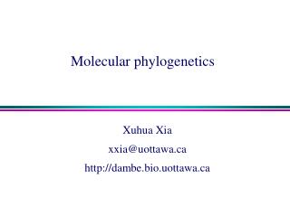 Molecular phylogenetics