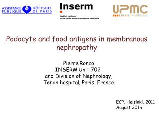 Podocyte and food antigens in membranous nephropathy