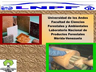 Universidad de los Andes Facultad de Ciencias Forestales y Ambientales