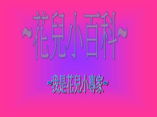 ~ 花兒小百科 ~