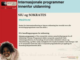 Internasjonale programmer innenfor utdanning