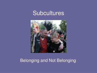 Subcultures