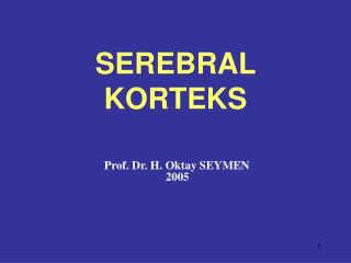 SEREBRAL KORTEKS